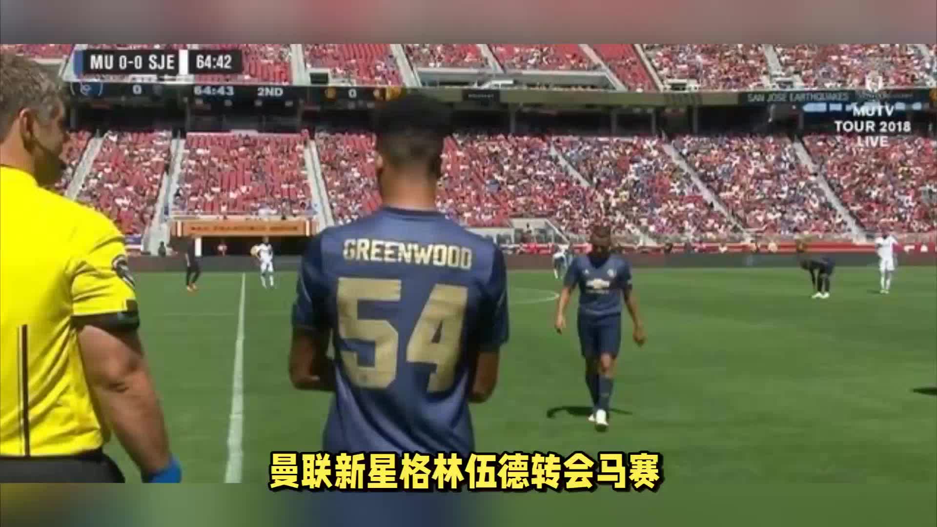 新投资者通