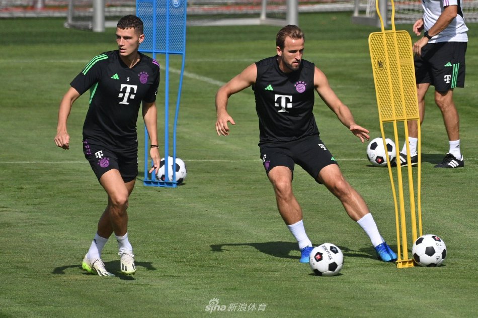 整体打法高 整体打法高